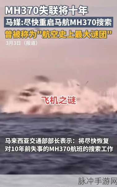 yw163coc龙物失联：YW163Coc龙物失联事件：探寻消失背后的真相与谜团