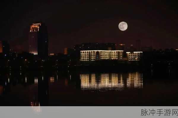 黑夜两人在个上打扑克：夜深人静，两人对弈扑克，月光洒满桌面。