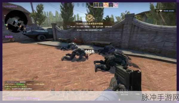 暴躁老阿姨csgo新手技巧：提升新手玩家实力的暴躁老阿姨CSGO技巧分享