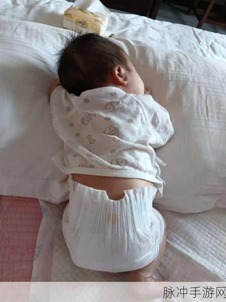 美女和帅哥在一起生猴子软件：精彩人生：美女帅哥携手共育萌娃软件