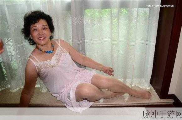 chinese老熟女BBWHD：探索成熟魅力：老熟女在生活与情感中的精彩表现