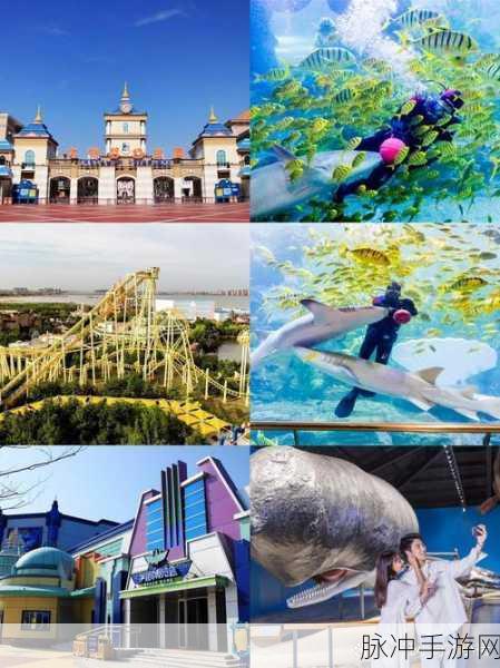 天堂w：探索拓展天堂：畅游无限可能的奇幻世界