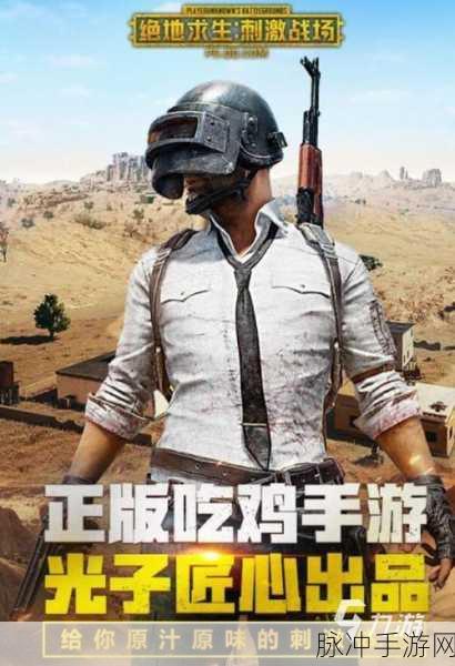 刺激战场16岁：勇闯刺激战场：16岁青年的热血冒险之旅