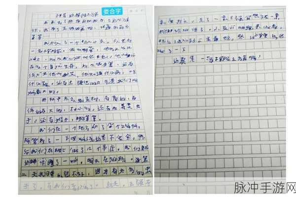 露点的儿童片：奇幻冒险：小朋友们的露点探险之旅