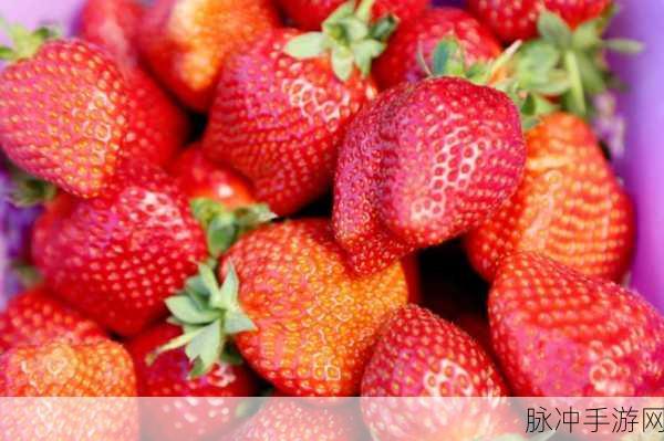 91草莓视频：探索91草莓视频的无限魅力与精彩内容分享平台