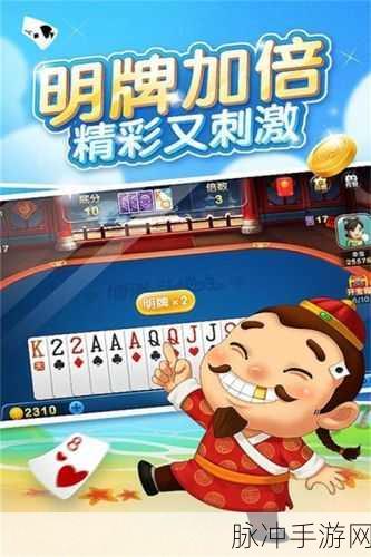 博雅和榜一大哥斗地主：智勇双全，博雅与榜一大哥的斗地主巅峰对决