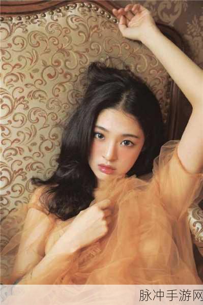 沈阳老阿姨叫的巅峰：沈阳老阿姨的巅峰之作：传统与现代的完美结合