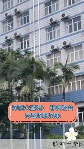 男生和女生打牌不盖牌：男女玩家同场竞技，牌桌上尽显风采与智慧