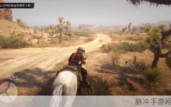 老镖客城中村扫：老镖客城中村：传统与现代交融的新篇章探秘