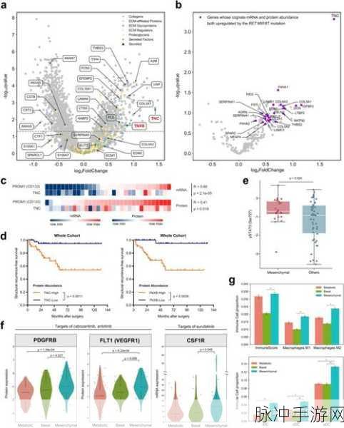 17c13.apo：探索17c13.apo：揭示其背后的深层含义与应用价值
