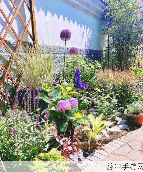 男朋友想看我的小花园该怎么办：如何巧妙地让男朋友欣赏我的小花园？