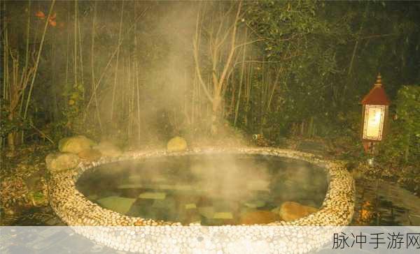 讨厌部长 出差 温泉酒店：出差温泉酒店，部长的讨厌与无奈之旅