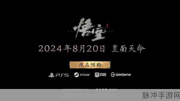 wegame stream：全新体验：拓展WeGame Stream，畅享更多精彩内容！