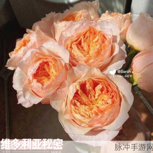 17c蜜桃爆料黑料视频：17c蜜桃爆料黑料视频揭秘：背后的真相与秘密全曝光！