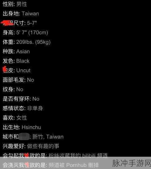 成人隐藏通道网站入口：探索隐秘成人网站的入口与安全使用指南