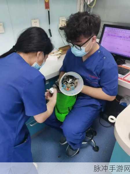 警察睾丸被注入高能缩小剂：警察意外遭遇高能缩小剂注入事件引发关注