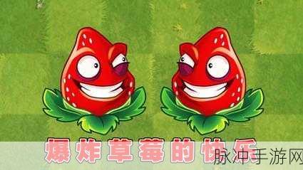 草莓软件无限激活码：获取拓展草莓软件的无限激活码，轻松畅享所有功能！