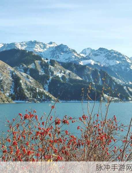 伊春园2024直达入口音响：伊春园2024直达入口音响系统全新升级，畅享绝佳体验