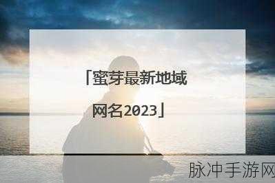 2023年4hu最新永久地域网名：2023年全新4hu永久地域网名推荐，带你探索无限可能！