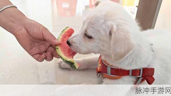 cgw51吃瓜最新消息2023：2023年CGW51吃瓜事件最新动态与深度分析