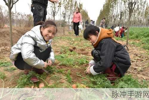 光腿拔萝卜：光腿拔萝卜：探寻乡村风情与趣味生活的完美结合