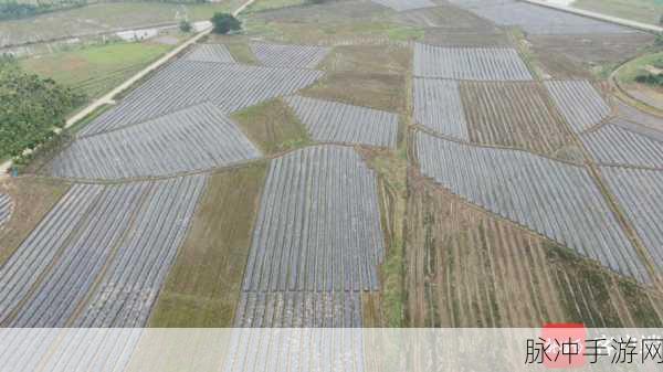 儿子开垦妈妈荒废的肥田：儿子积极开垦妈妈荒废的肥田，重焕生机与希望