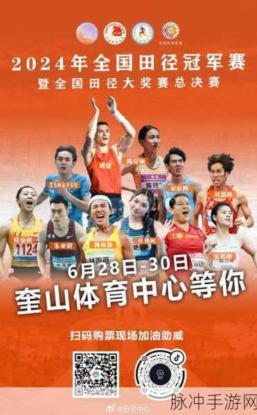 每日大赛51爆料：每日大赛51最新爆料：精彩赛事与大奖一网打尽！