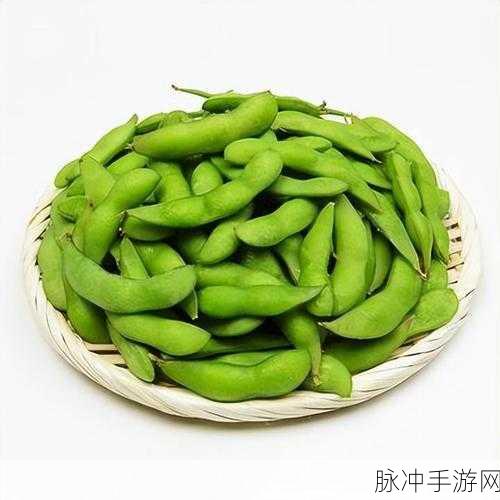 毛豆免费卡密：轻松获取毛豆免费卡密，畅享无限乐趣与福利！