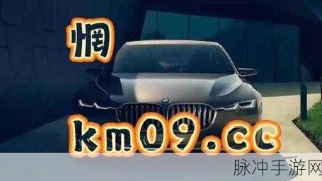 my297777最新地域网名是什么：探索my297777最新地域网名的独特魅力与创意表达