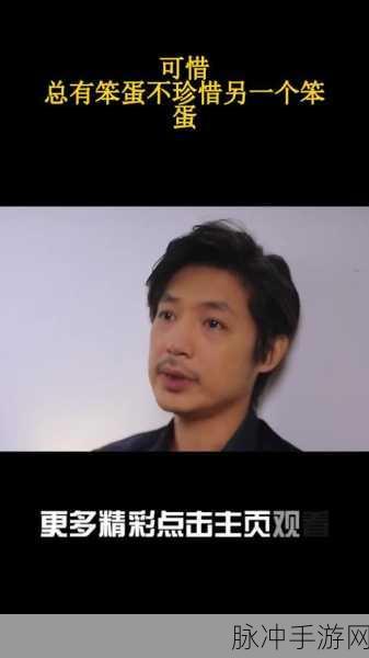 笨蛋炮灰总被爆炒：笨蛋炮灰总是被当做炒作工具，真相何在？