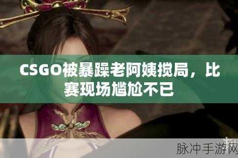 暴躁老阿姨玩csgo：暴躁老阿姨的CSGO游戏之旅：战场上的疯狂对决