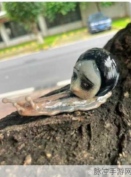 玩偶姐姐：玩偶姐姐的奇幻冒险：探索梦境中的秘密世界