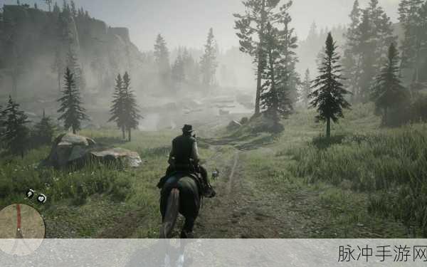 405060阿姨荒野大镖客：405060阿姨荒野大镖客：勇闯无尽西部传奇