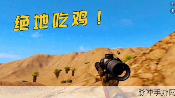 搞鸡time恶心视频免费10分钟：搞鸡时间：10分钟带你体验恶心的欢乐时刻