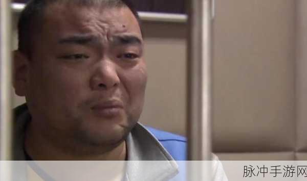 8x8x海外免费观看：探索8x8x平台，畅享海外精彩内容免费观看的新方式