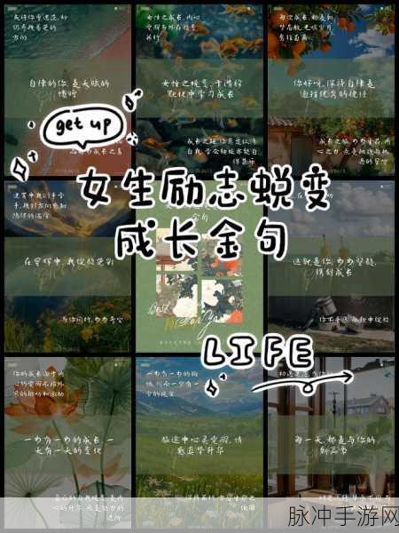 1v2从小开始校园：从小校园启航，探索1v2的成长之路