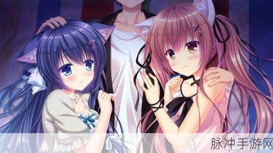 猫娘拔萝卜的游戏：猫娘冒险记：勇闯萝卜王国的奇幻旅程