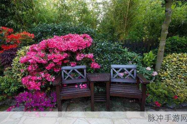 吃小花园：在小花园中品味自然的美好与宁静生活