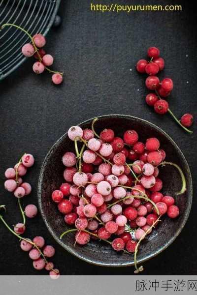 九一果冻制品厂最新电视剧达达兔：九一果冻制品厂之达达兔奇幻冒险记