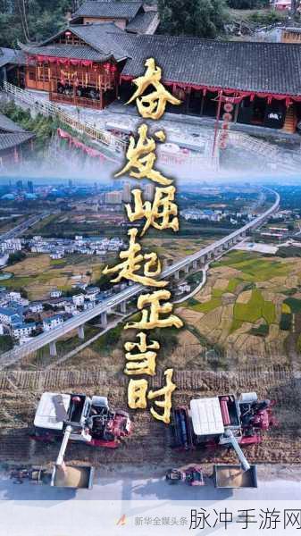 九幺改革：深化九幺改革，推动经济高质量发展新征程