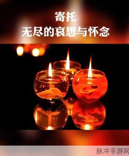 天堂网：探索无尽可能，开启未来科技与生活的新篇章