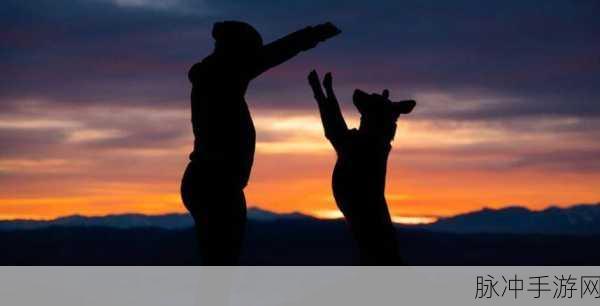 女人的第一次给了狗：女人与狗之间特殊情感的第一次经历探讨