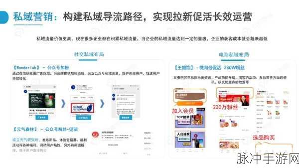 91精产国品一二三市场定位：91精产国品：精准市场定位，拓展一二三产业新机遇