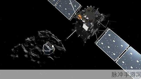 仙踪林company limited19岁英文：Exploring New Horizons： Celebrating 19 Years of Success at拓展仙踪林 Company Limited