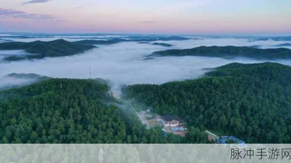 伊春园2024：探索伊春园2024：自然与文化的完美融合之旅