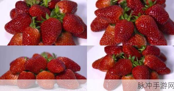 下载草莓视频：轻松获取草莓视频，畅享精彩视听体验的最佳选择！