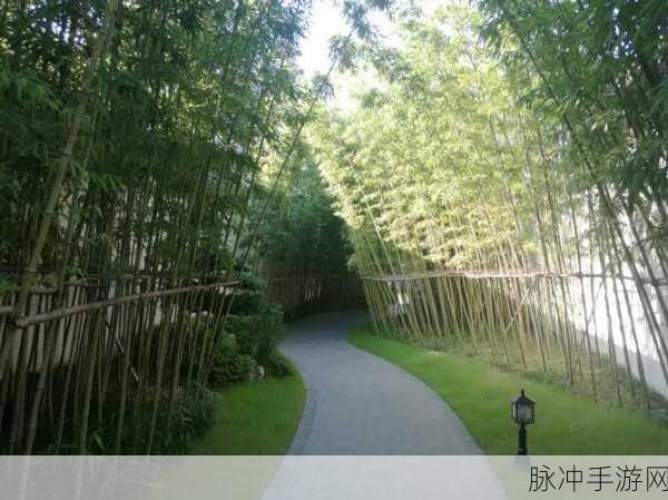 17c操：“探索17c操的历史背景与现代应用新趋势”