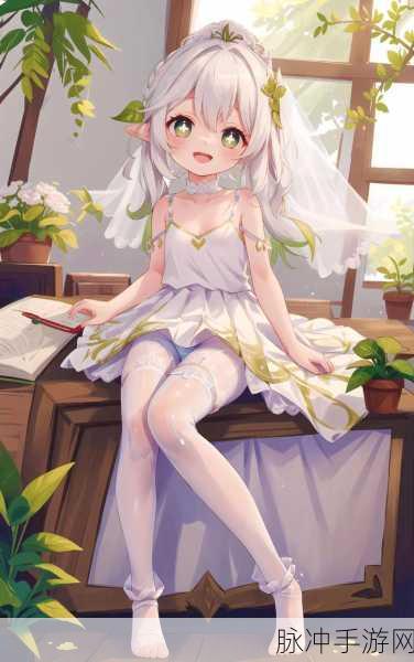 纳西妲无小内无爱心皮肤：纳西妲新皮肤：无小内与爱心的奇幻冒险