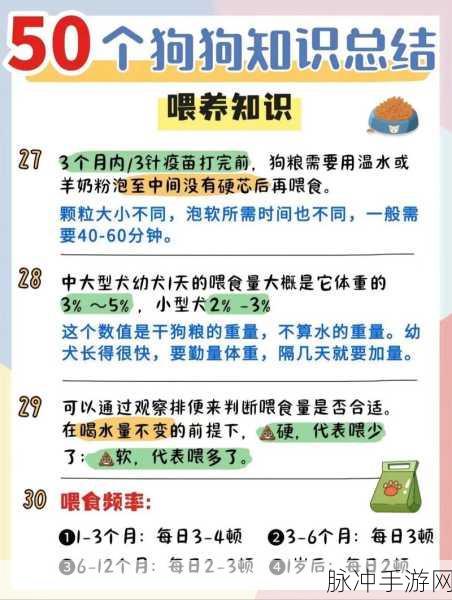 日本mindup狗狗：探索日本Mindup狗狗的独特魅力与养护技巧