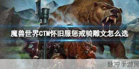 惩戒骑雕文：惩戒骑士的雕文解析与应用技巧揭秘